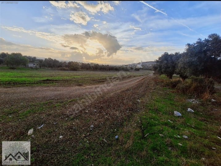Çınar Gayrimenkul